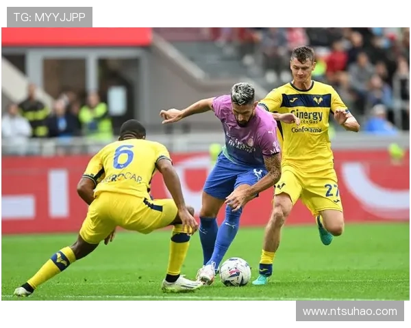 百年荣耀与新生并行的意甲维罗纳足球俱乐部全景解析历史与未来之路